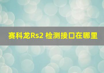 赛科龙Rs2 检测接口在哪里